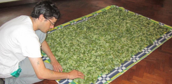 
	Adriano Costa at Kiosko Galería, in Santa Cruz de la Sierra, Bolivia
